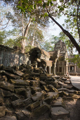 Fototapeta na wymiar Ta Prohm temple. Cambodia.