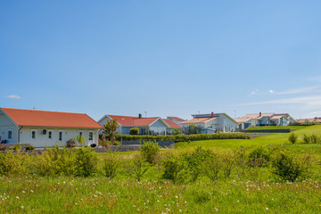 Residential houses with gardens in the summer