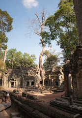 Ta Prohm temple. Cambodia.