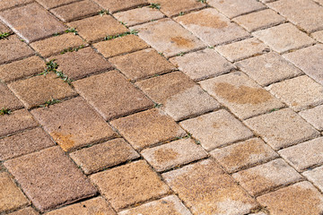 A Sunday in June on a farm in Puglia, a region of southern Italy. Tiles on the outside of a pool with signs of damp and water and the green of the grass coming out from the edges.