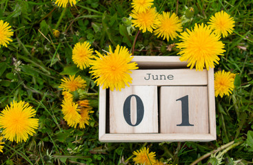 calendar organizer June 01, the first day of summer on the green grass in dandelions