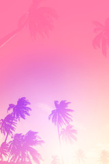 Obraz na płótnie Canvas Copy space of tropical palm tree with sun light on sky background.