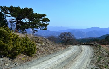 Fototapeta na wymiar rural road in the mountains