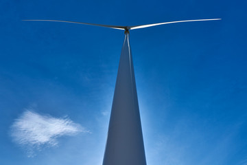 ecological windmills to generate electricity in a natural environment