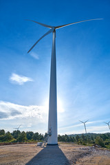 ecological windmills to generate electricity in a natural environment