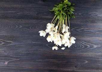 Dark background with a place for an inscription and a bouquet of white flowers