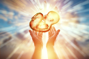 Artificial insemination, on the hand. Child in the fetal position, embryo. Pregnancy concept,,...
