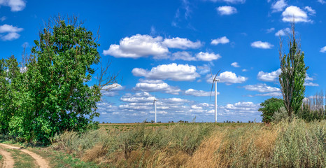 Wind generators in a sunflower field against a cloudy sky