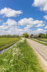 Fototapeta na wymiar Narrow road leading to Wierumerschouw village in Groningen, Netherlands