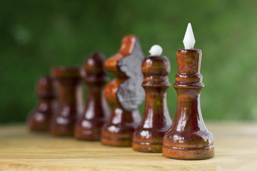 Chess pieces arranged in a row from the oldest to the youngest. Chess against the backdrop of greenery made of varnished wood.