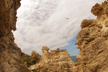 A bird flies over a canyon