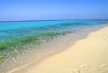 The most beautiful beach named Shuab Beach in Socotra island, Yemen.