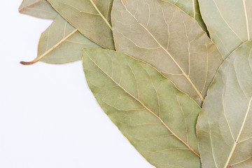 Aromáticas hojas secas de laurel