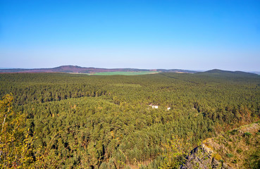 Fototapeta na wymiar Aerial view of the forest with blue sky in the background.