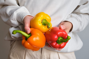 The girl holds colored bell pepper in her hands. Ripe fresh big sweet pepper. Healthy food, organic vegetables. Natural vitamins, raw ingredient for eating. Handpicked bio capsicum
