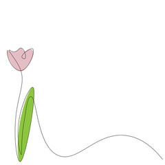 Pink flower tulip background, vector illustration