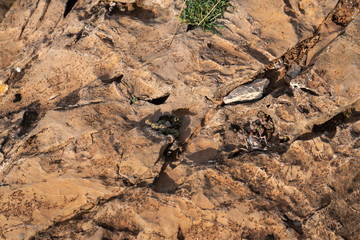 stone texture for graphic resource