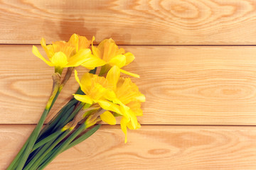 yellow daffodil on a wooden background isolate