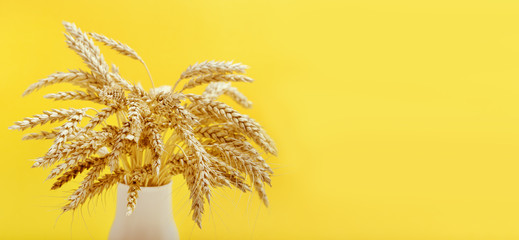 Spike of wheat  in ceramic vase close up. Cereal crop. Rich harvest creative concept. Banner for website with copy space.