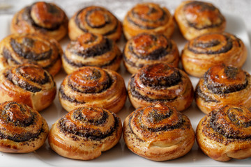 Freshly baked buns with poppy seeds