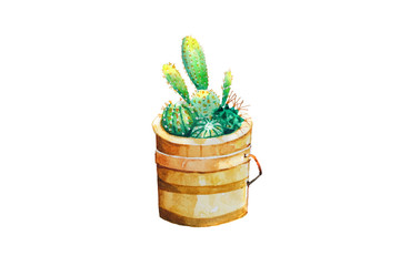 Cactus in wooden pot Watercolor hand painting on white paper Background