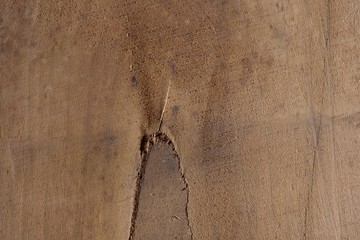 Wood texture background surface with old natural pattern. Texture of wood background close up. Top view. Copy space.