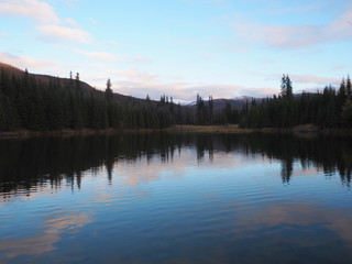 アラスカ フェアバンクス・チナ温泉リゾートのビーバー池