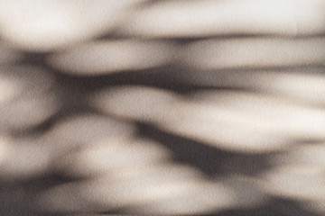 Bright sunlight and dark shadows from tree on light paper background. Abstract composition with shade. Minimal autum concept with branches of tree. Creative copyspace.
