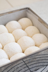 自宅でパン作り　ちぎり白パン　オーブンで焼く前の生地