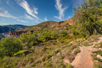 path between olive trees in Montenegro (Spain)

