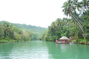 Fototapeta na wymiar river cruise in bohol island