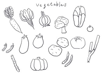 野菜　イラスト　線画