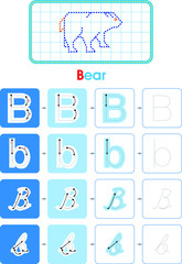 Alphabet B learning letter set practice with bear for kids worksheet write isolated background. Vector illustration