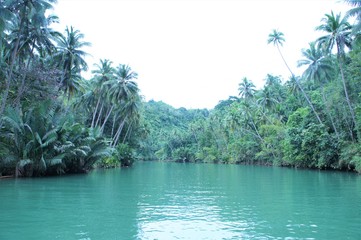 river cruise in bohol island