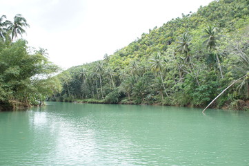 river cruise in bohol island