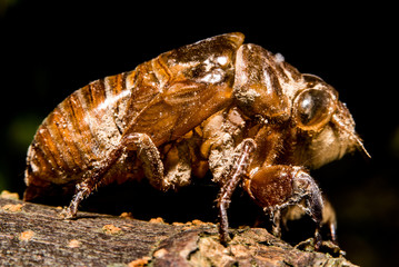 Still looks daunting to me