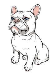 Cute cartoon french bulldog. Vector illustration