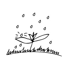 A small sprout in the rain, raindrops falling on a leaf. Spray of water on a leaf. Grass. Black lines on a white background. Doodle Vector illustration

