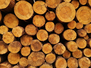 stack of wood