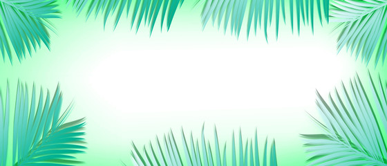 Flat lay palm leaves with blank copy space. Creative seasonal summer concept for banner.