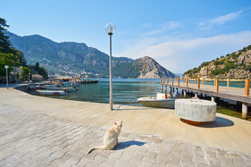 Beautiful little harbour with abandoned colourful boats with flowers and trees in the small market town. © Ryzhkov Oleksandr