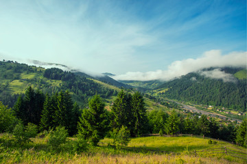 View of foggy summer day in mountains