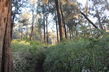 The Beautiful Nature Landscape in Inonesia Country