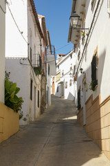 Fototapeta na wymiar bonita calle rural del municipio de Alpandeire, Málaga