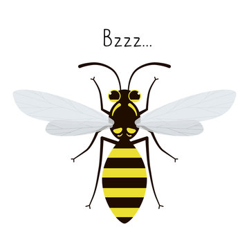 Vector flat image of an isolated wasp.