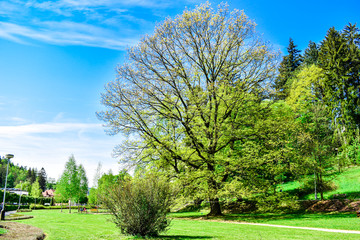 Obraz premium A long trip in the countryside in spring. 