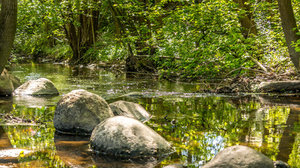 A small river surrounded by green plants and trees.