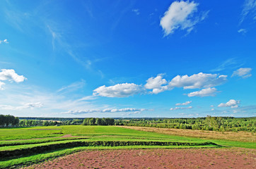 Fototapeta na wymiar Green grassy meadows on a background of summer blue sky.