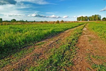 Green grassy meadows on a background of summer blue sky.