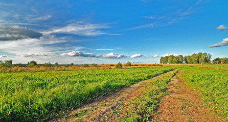 Fototapeta na wymiar Green grassy meadows on a background of summer blue sky.